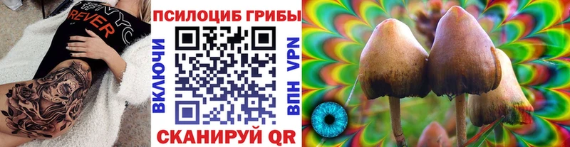 продажа наркотиков Самара Псилоцибиновые грибы мухоморы